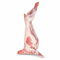 Raw lamb leg on a white background