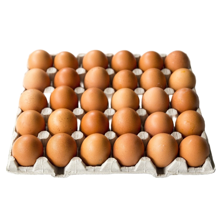 Carton of brown certified halal eggs on a white background